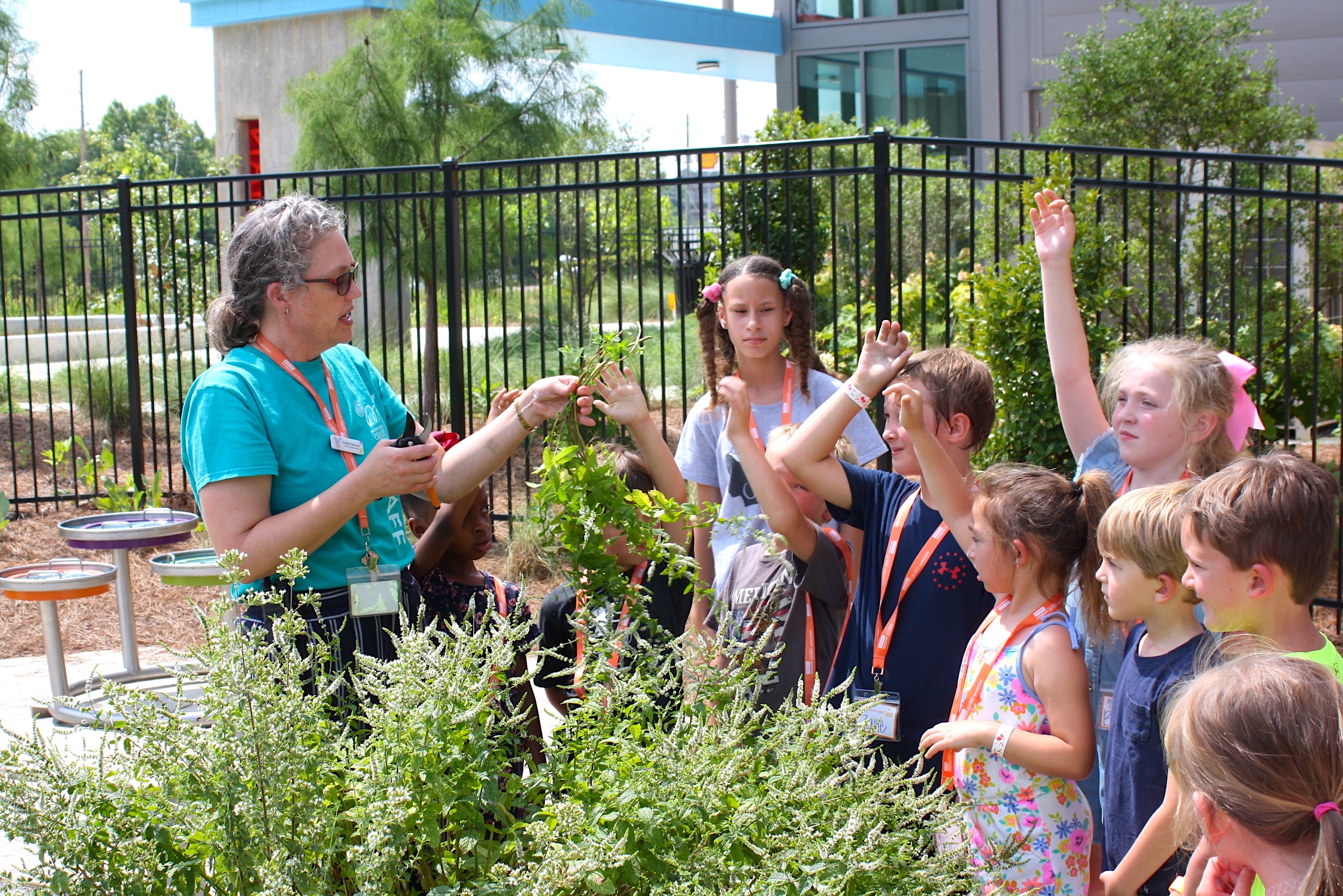 Summer camp at Mississippi Children's Museum - Meridian