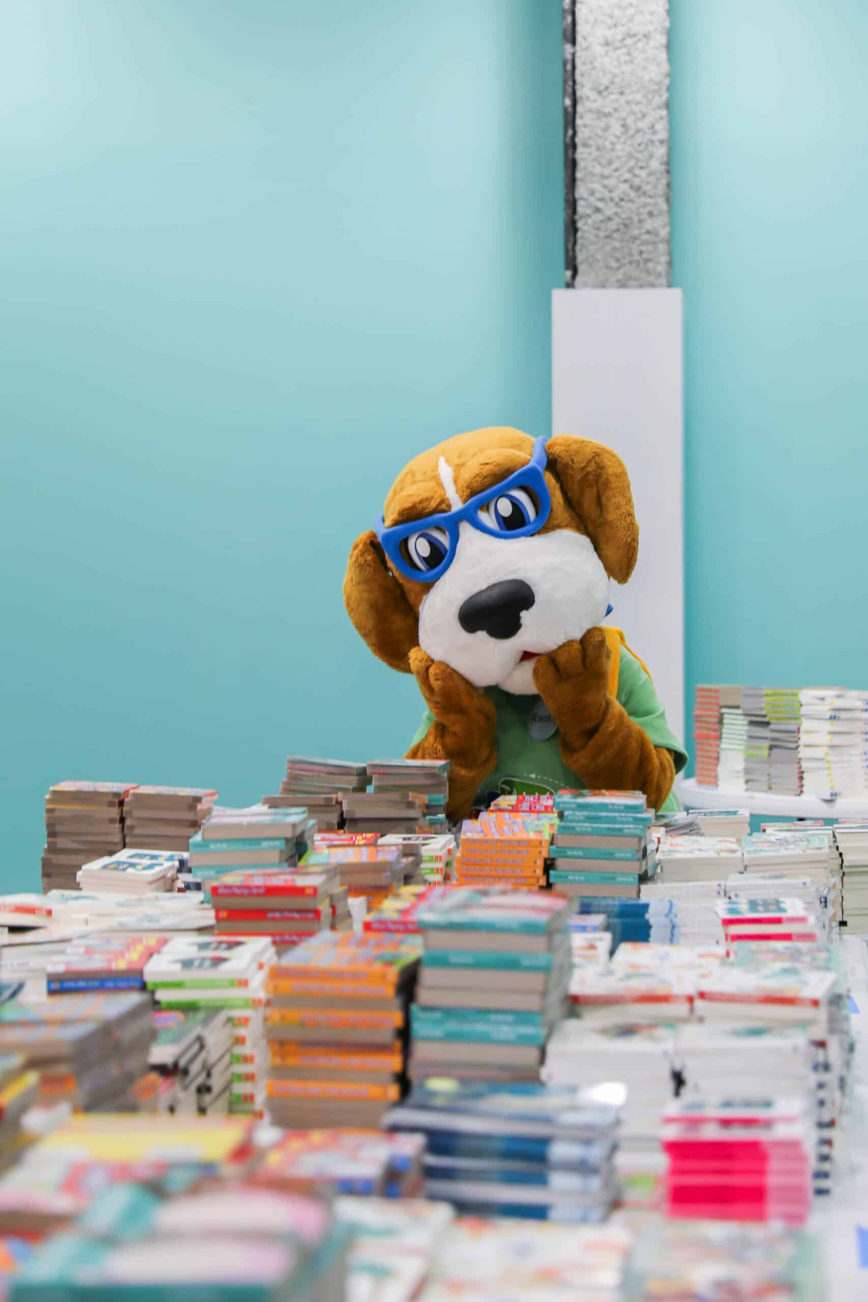 Rocky looking at stack of books
